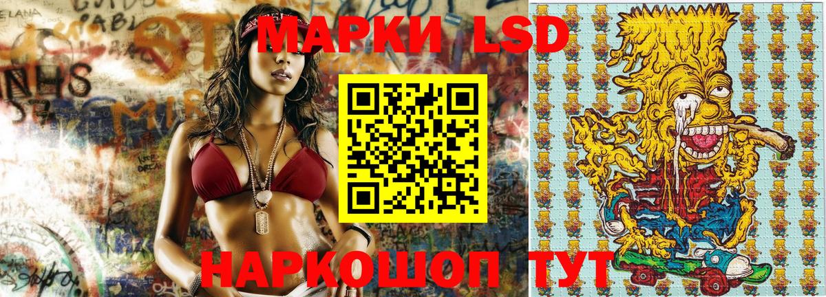 Бошки Шишки Удомля