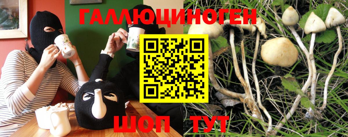 Галлюциногенные грибы MAGIC MUSHROOMS Удомля