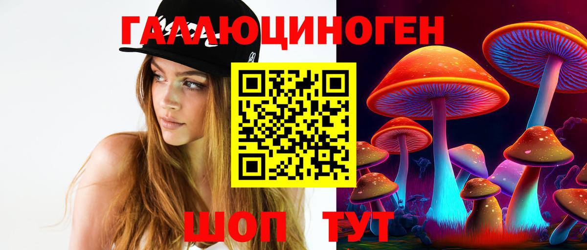 Галлюциногенные грибы Psilocybe  Псилоцибиновые грибы Psilocybine cubensis  Вход с VPN  Удомля 